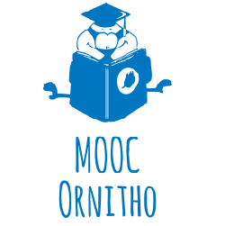 MOOC ornitho
