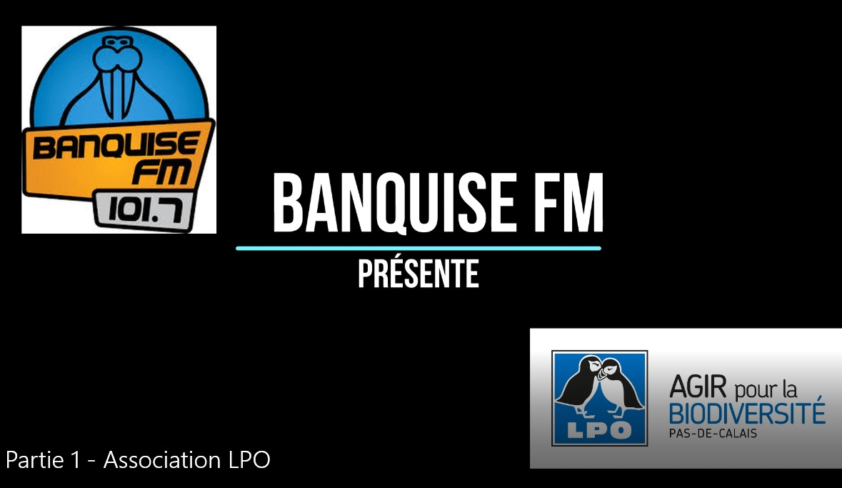 Banquise FM